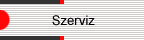 Szerviz